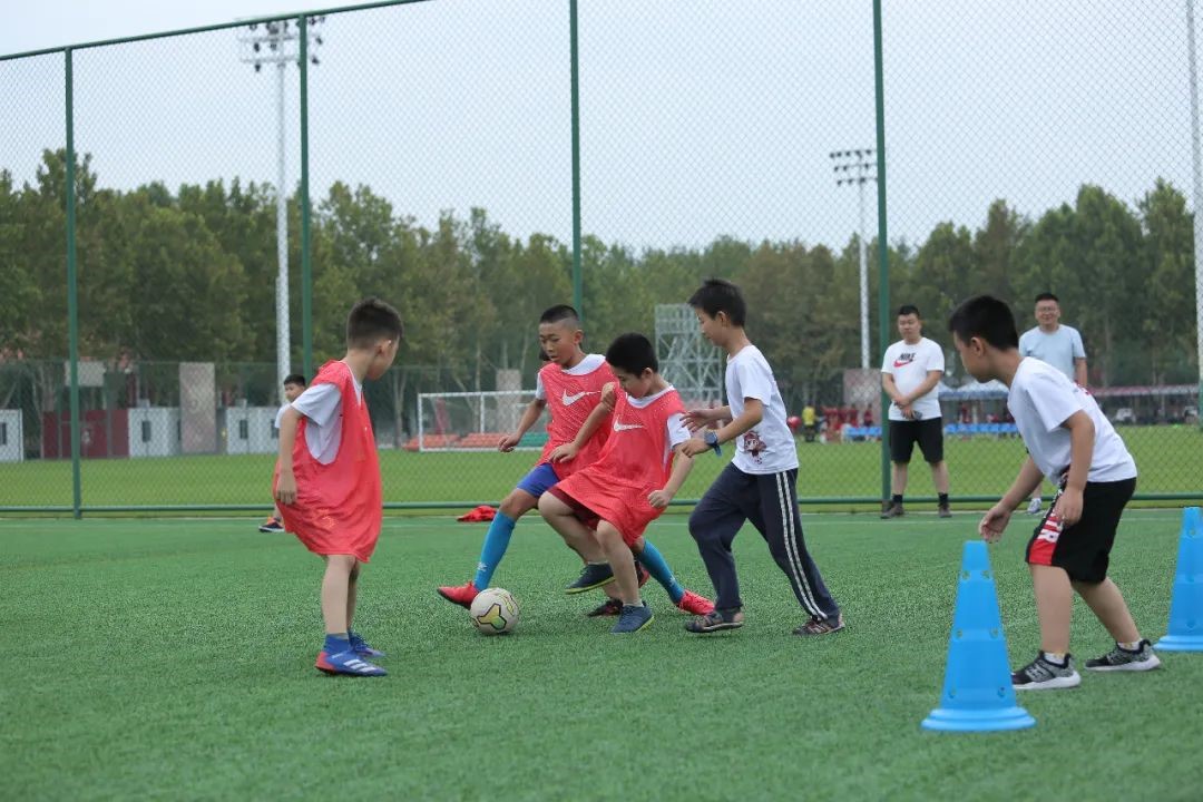小孔雀夏令营|孔雀城携手河北华夏幸福足球俱乐部社区青训开营 为青少年足球健康发展释放“幸福能量”(图11)